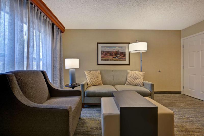 One-Bedroom King Suite - Non-Smoking image 4