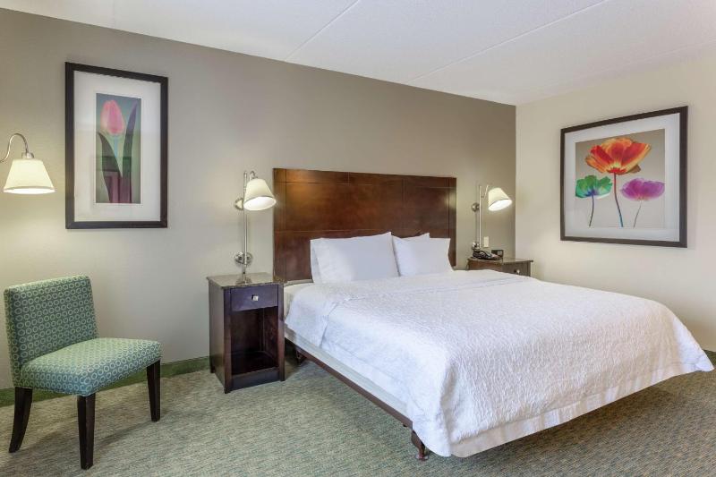 King Room with Accessible Tub - Mobility and Hearing Access/Non-Smoking image 4