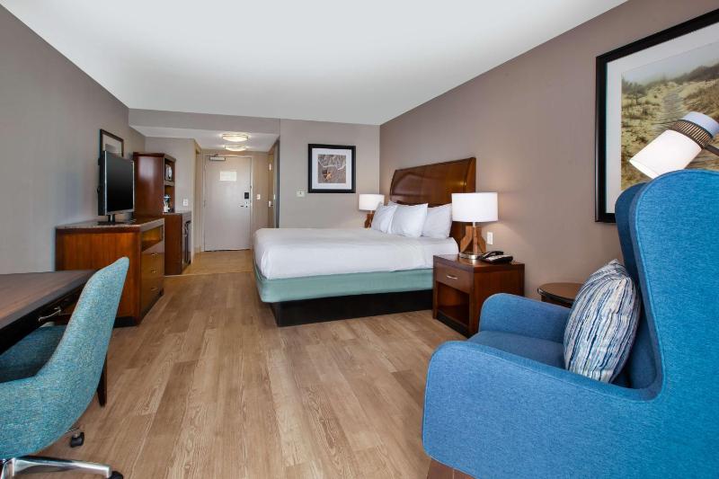King Room with Oceanfront View image 3