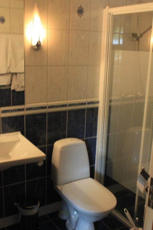 Deluxe Double Room with Shower image 4