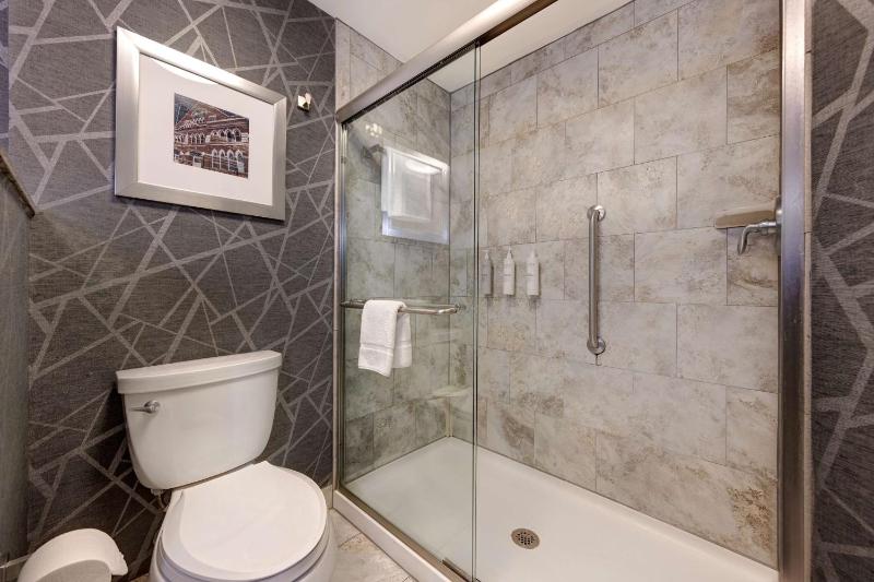 King Studio Suite - Non-Smoking image 3