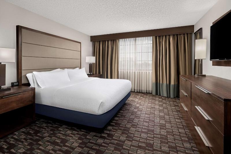 Premium King Room with Roll-In Shower - Mobility and Hearing Accessible/Non-Smoking image 3