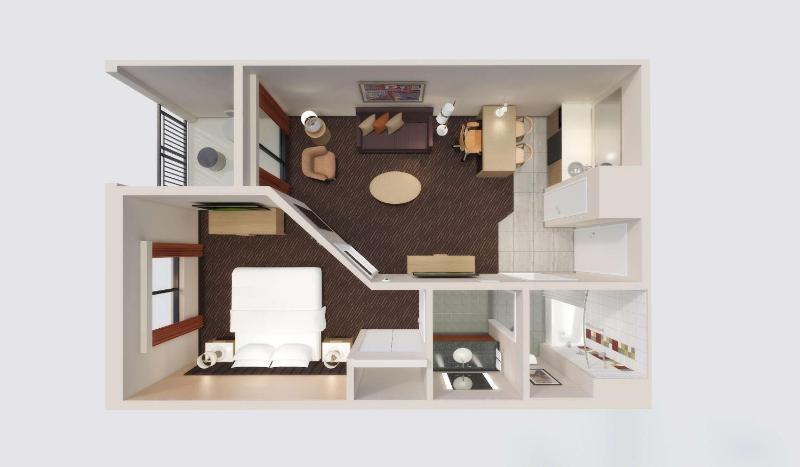 King Suite with Standard View image 4