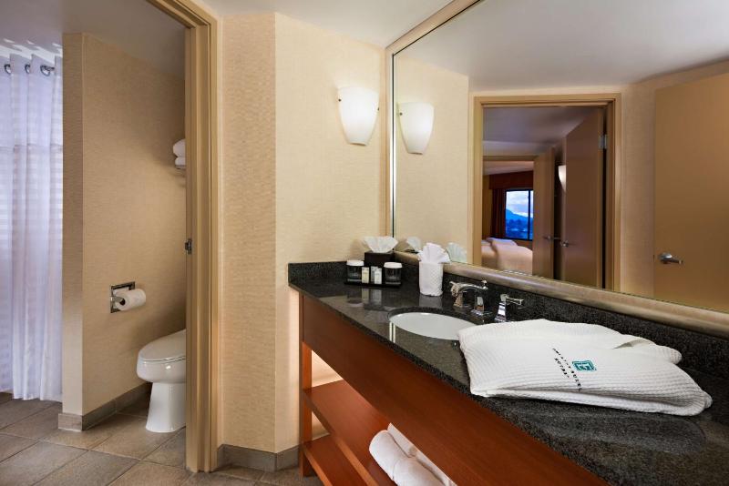 King Suite with Standard View image 2