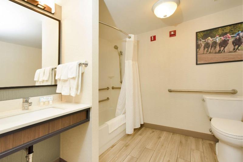King Room with Bath Tub - Hearing Accessible  image 3