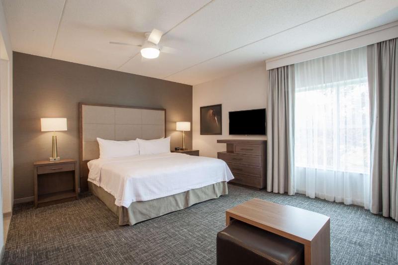 King Studio Suite - Non-Smoking image 3