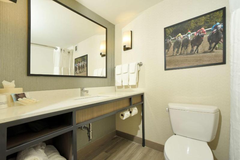 Junior King Suite with Sofa Bed - Non-Smoking image 3