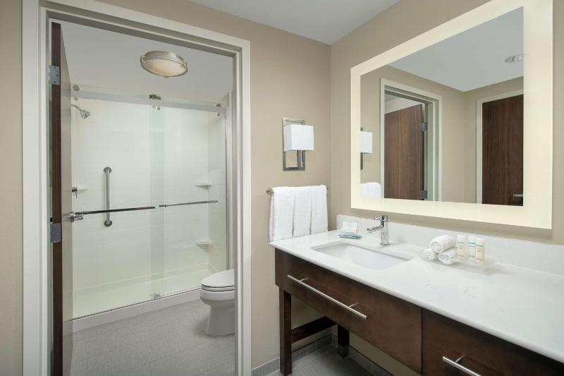 King Studio Suite - Non-Smoking image 2