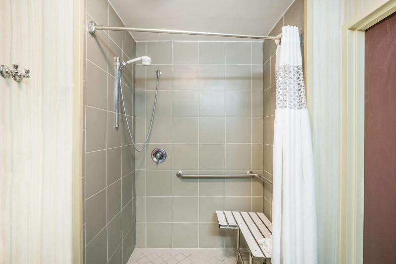 King Room with Roll-In Shower - Mobility and Hearing Access/Non-Smoking image 4