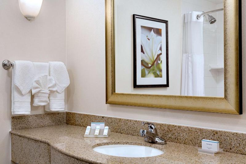 One-Bedroom King Suite with Sofa Bed image 2