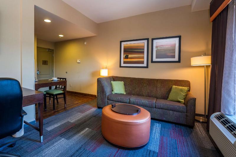 King Studio Suite - Non-Smoking image 3