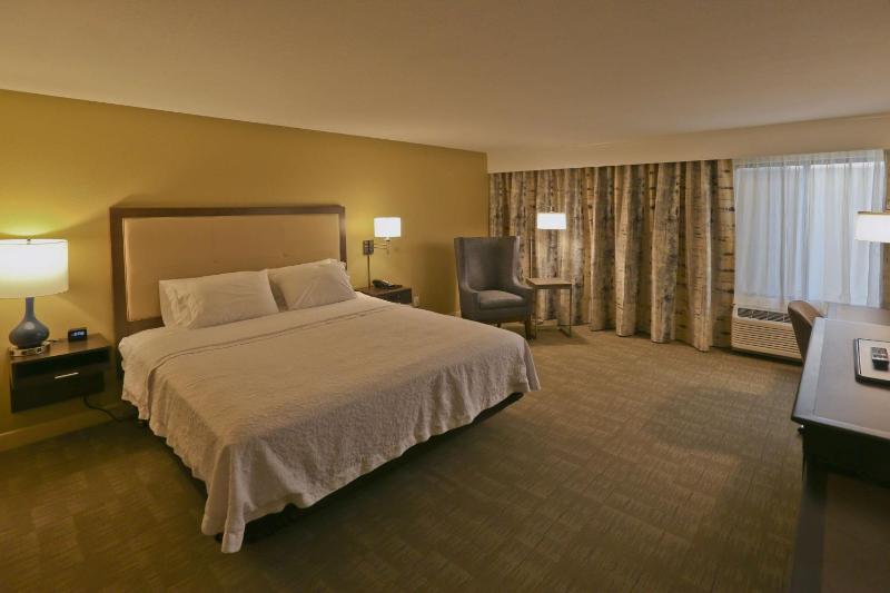 King Room with Accessible Tub - Mobility and Hearing Access/Non-Smoking image 4