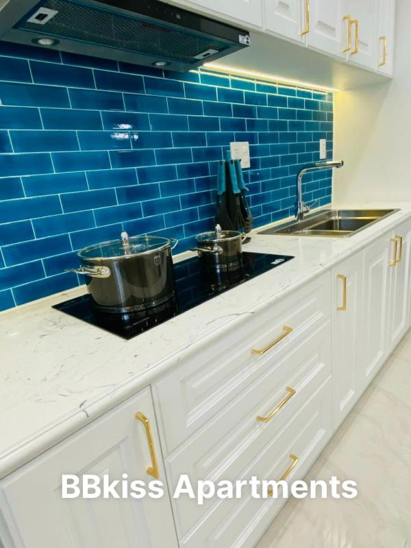 BBKISS Apartments & Hotel - image 8