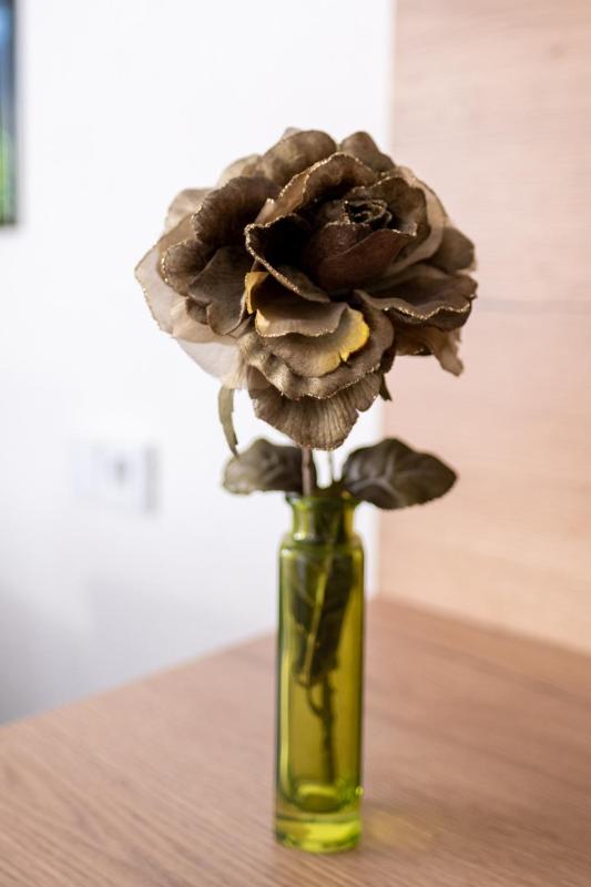 Apartment image 4