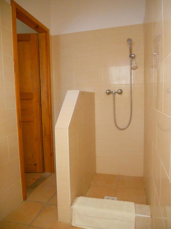 Twin or Double Room image 4