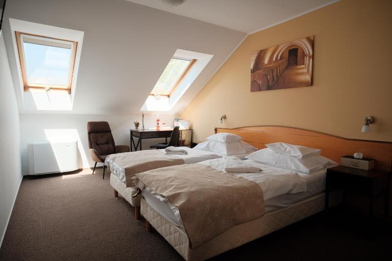 Double or Twin Room image 4