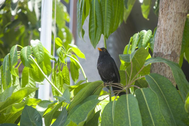 One-Bedroom Apartment with Sea View image 3