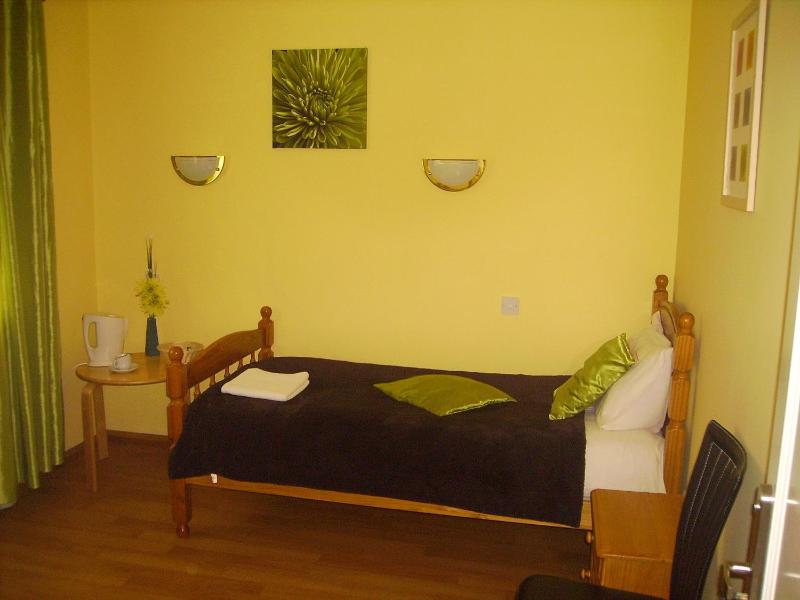 Executive Single Room image 4