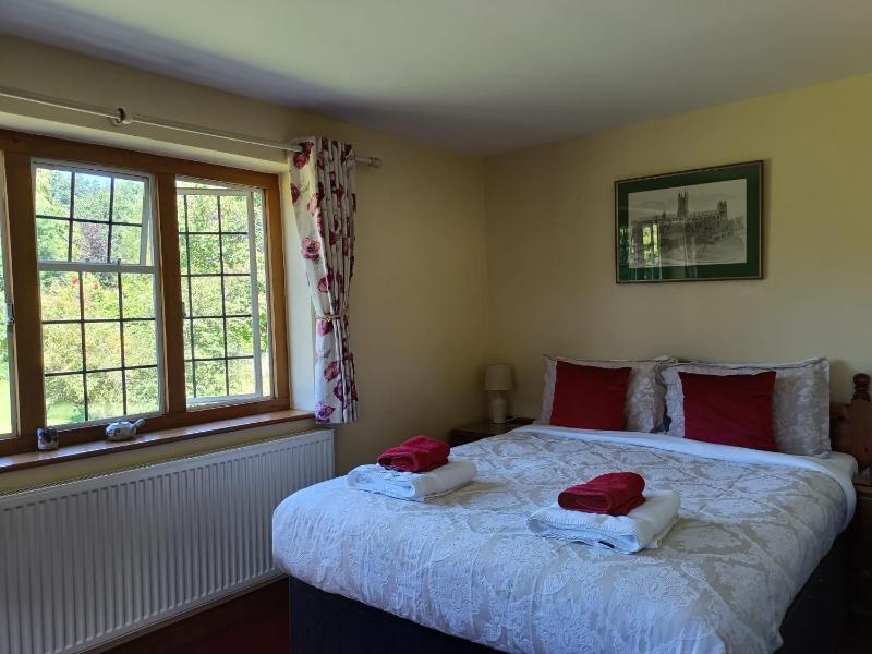 Standard Double Room image 1