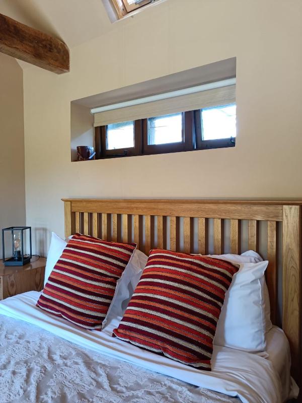 Deluxe Family Room image 4