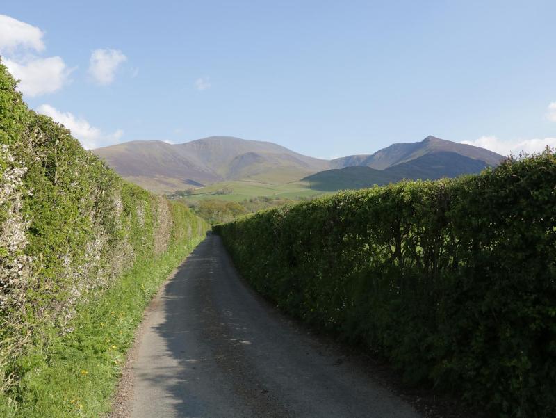 Elm Lodge - image 16