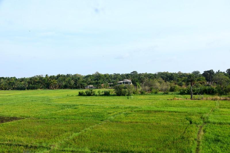 Meegahapokuna Resort - image 44