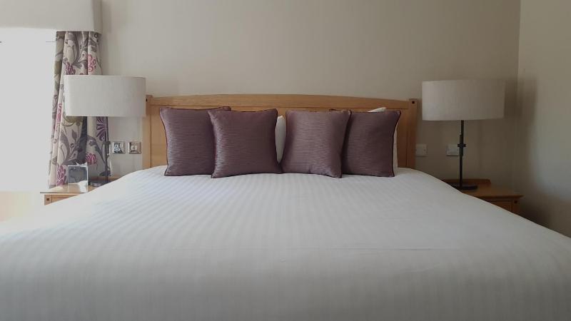 Superior Suite image 3