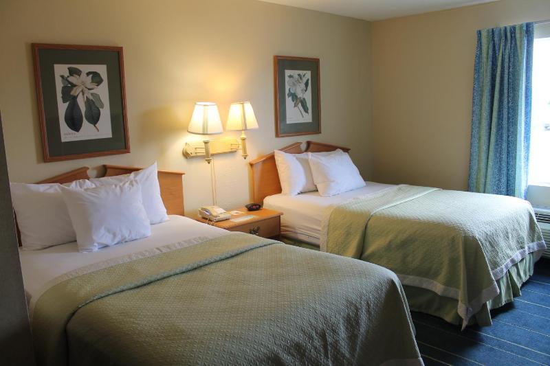 Studio Suite with Two Double Beds - Smoking image 3