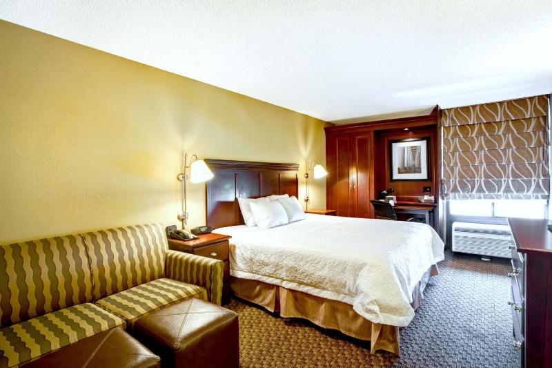 Deluxe King Room image 1