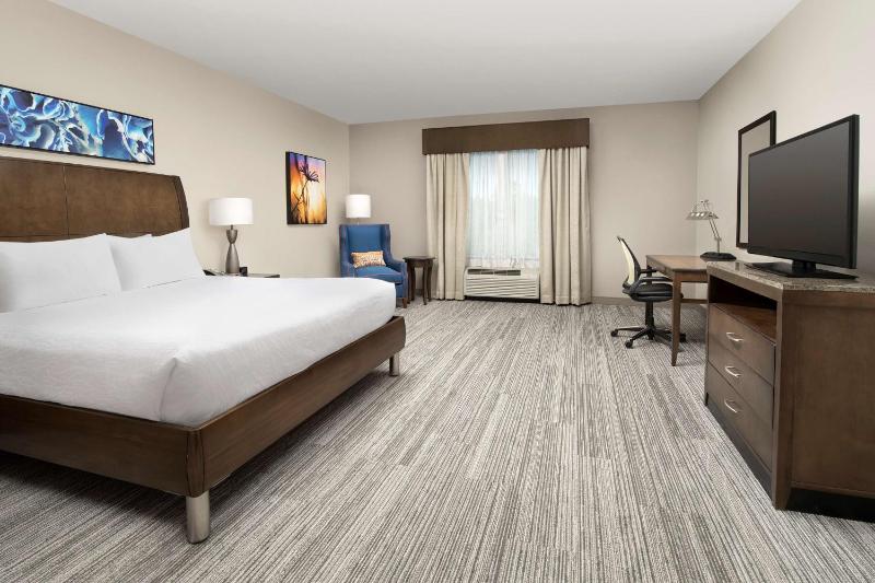 King Room with Accessible Tub - Mobility Access image 1