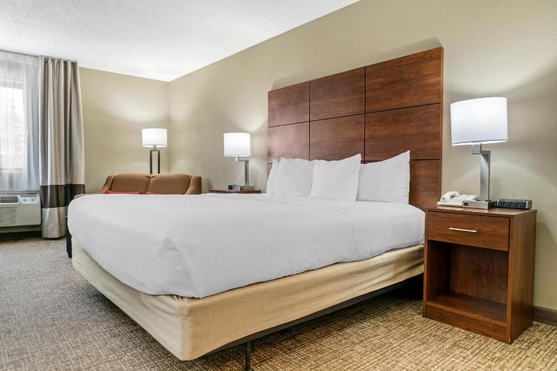 King Room - Non-Smoking image 2