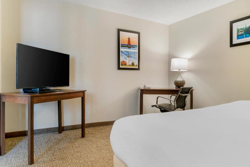 King Suite - Non-Smoking image 3