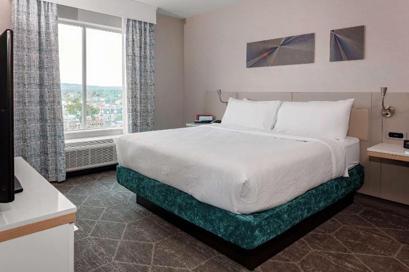 Hilton Garden Inn Colorado Springs Downtown - image 18