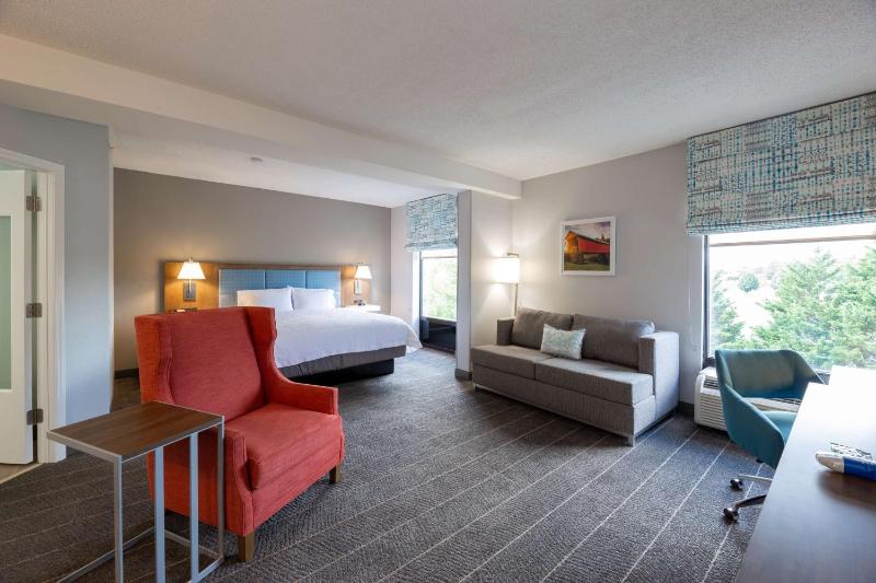 Large King Room with Sofa Bed - Non-Smoking image 3
