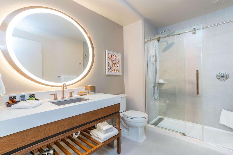 Deluxe King Suite image 2