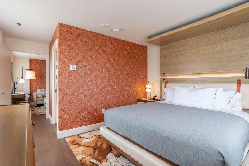 Deluxe King Suite image 4