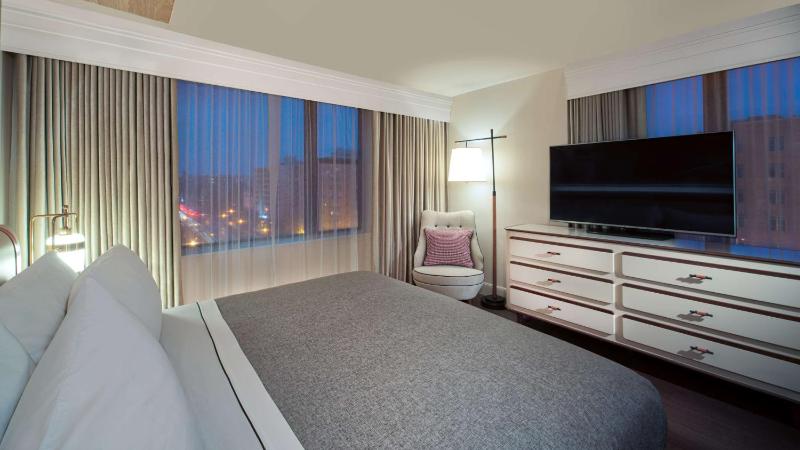 Deluxe King Suite image 3