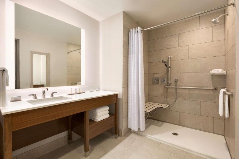 King Studio Suite with Roll in Shower image 2
