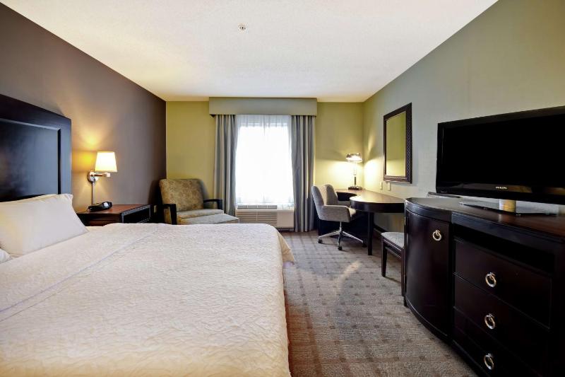 King Room with Roll-In Shower - Mobility Access/Non-Smoking image 3