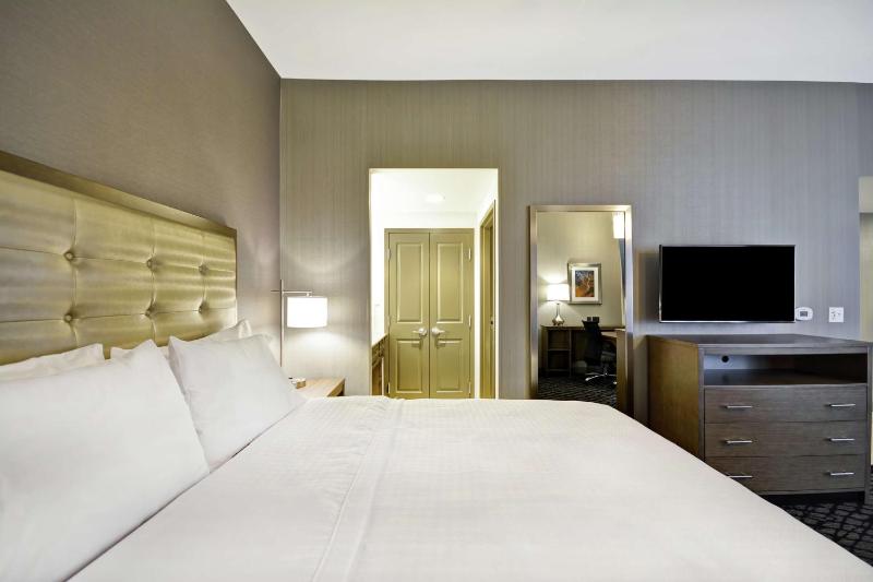 King Studio Suite - Non-Smoking image 4