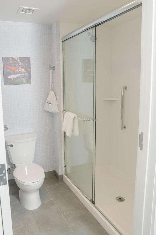 King Studio Suite - Non Smoking image 3