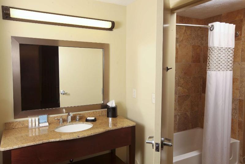 King Studio Suite with a Balcony image 2