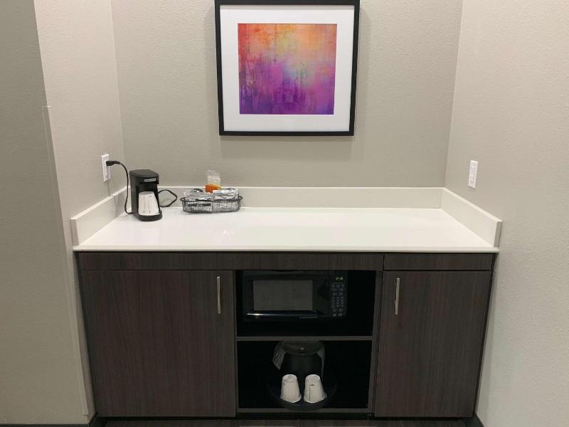 King Studio Suite with Sofa Bed - Non-Smoking image 4