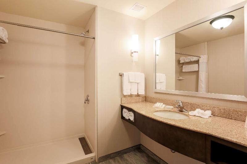 King Room with Roll-In Shower - Mobility/Hearing Accessible image 1