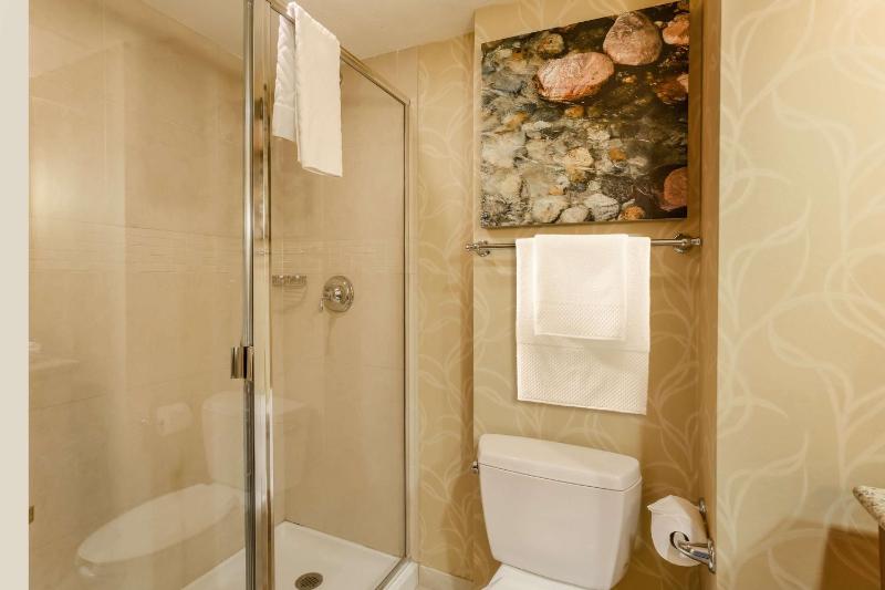 Deluxe King Room with Sofa Bed image 2