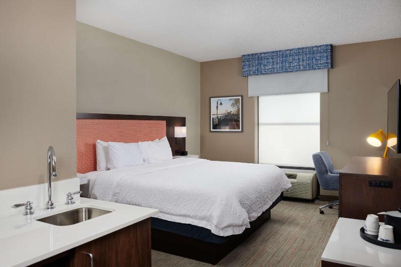 King Room with Refrigerator - Non-Smoking image 3