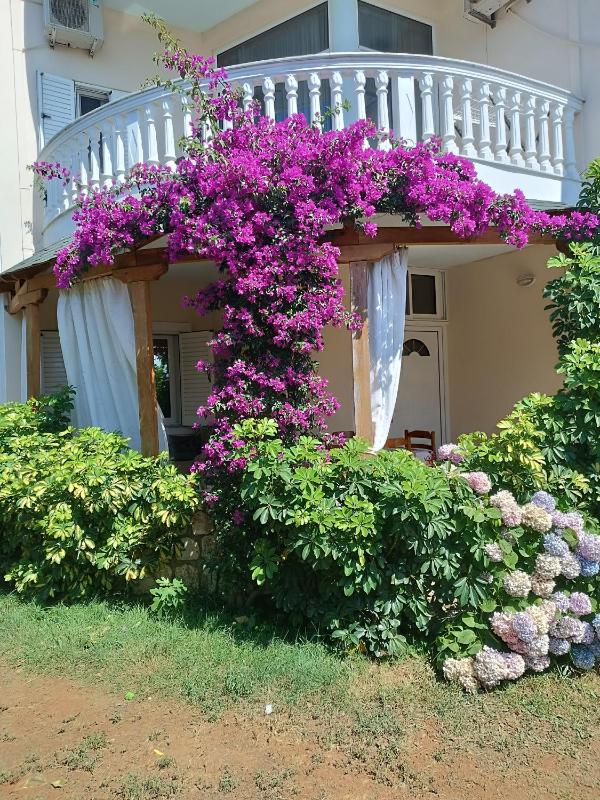 Oruci Apartments - image 1