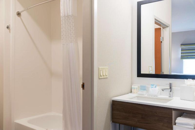 King Studio Suite with Sofa Bed - Non-Smoking image 2