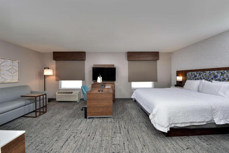 King Studio Suite with Sofa Bed - Non-Smoking image 4