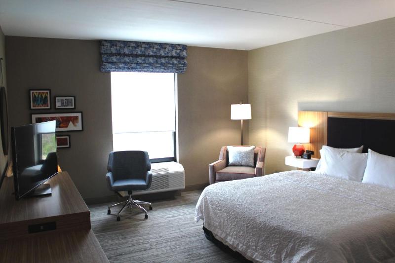 King Room with Roll-In Shower - Mobility Access/Non-Smoking image 3